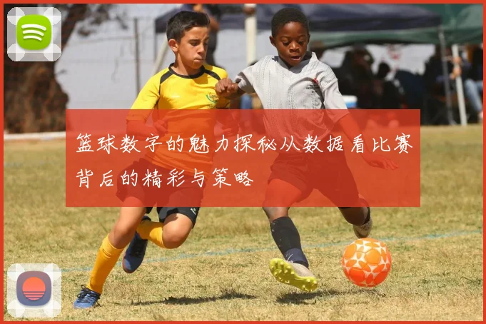 篮球数字的魅力探秘从数据看比赛背后的精彩与策略
