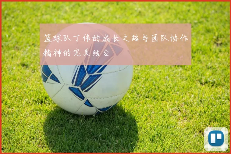 篮球队丁伟的成长之路与团队协作精神的完美结合