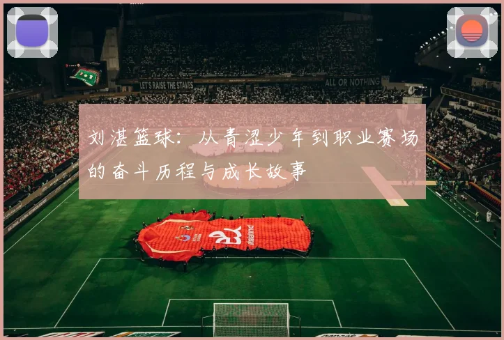 刘湛篮球：从青涩少年到职业赛场的奋斗历程与成长故事