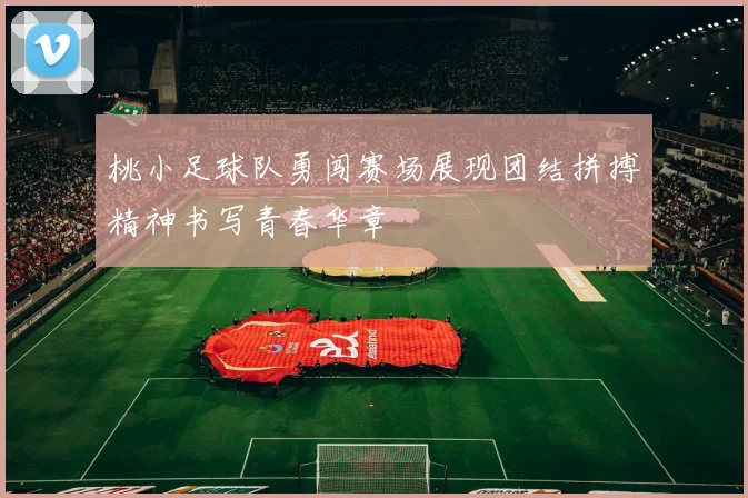 桃小足球队勇闯赛场展现团结拼搏精神书写青春华章