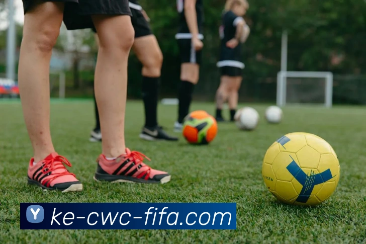 2026世界杯服务体系